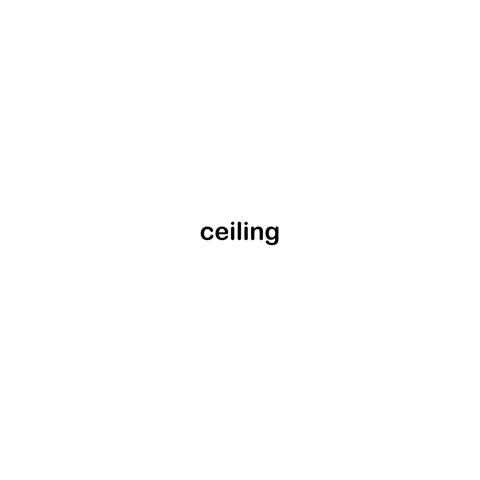 ceiling (feat. ryan)